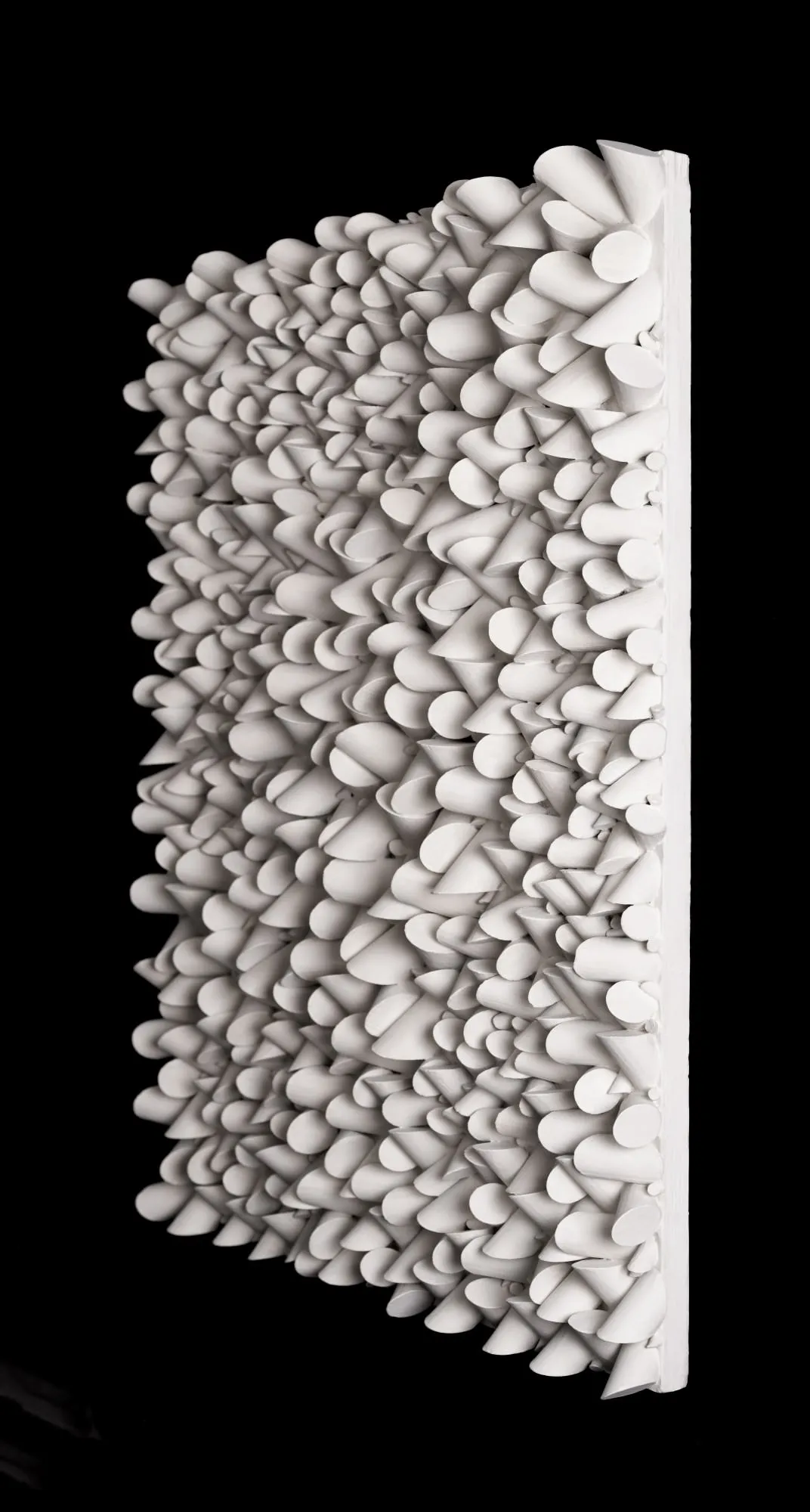 Sérgio Camargo - Relief n° 8