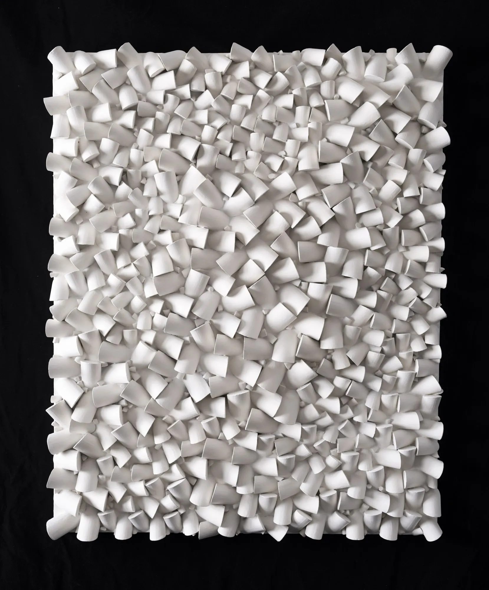 Sérgio Camargo - Relief No. 8
