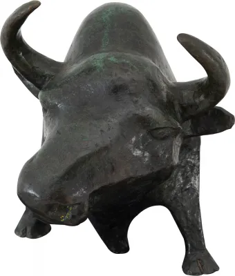 Sonia Ebling - Bisão