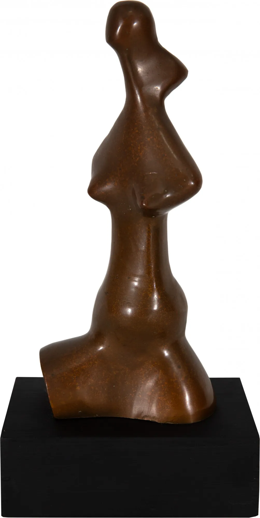 Sonia Ebling - Nu Feminino