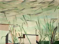 Takashi Fukushima - Cidade de campo