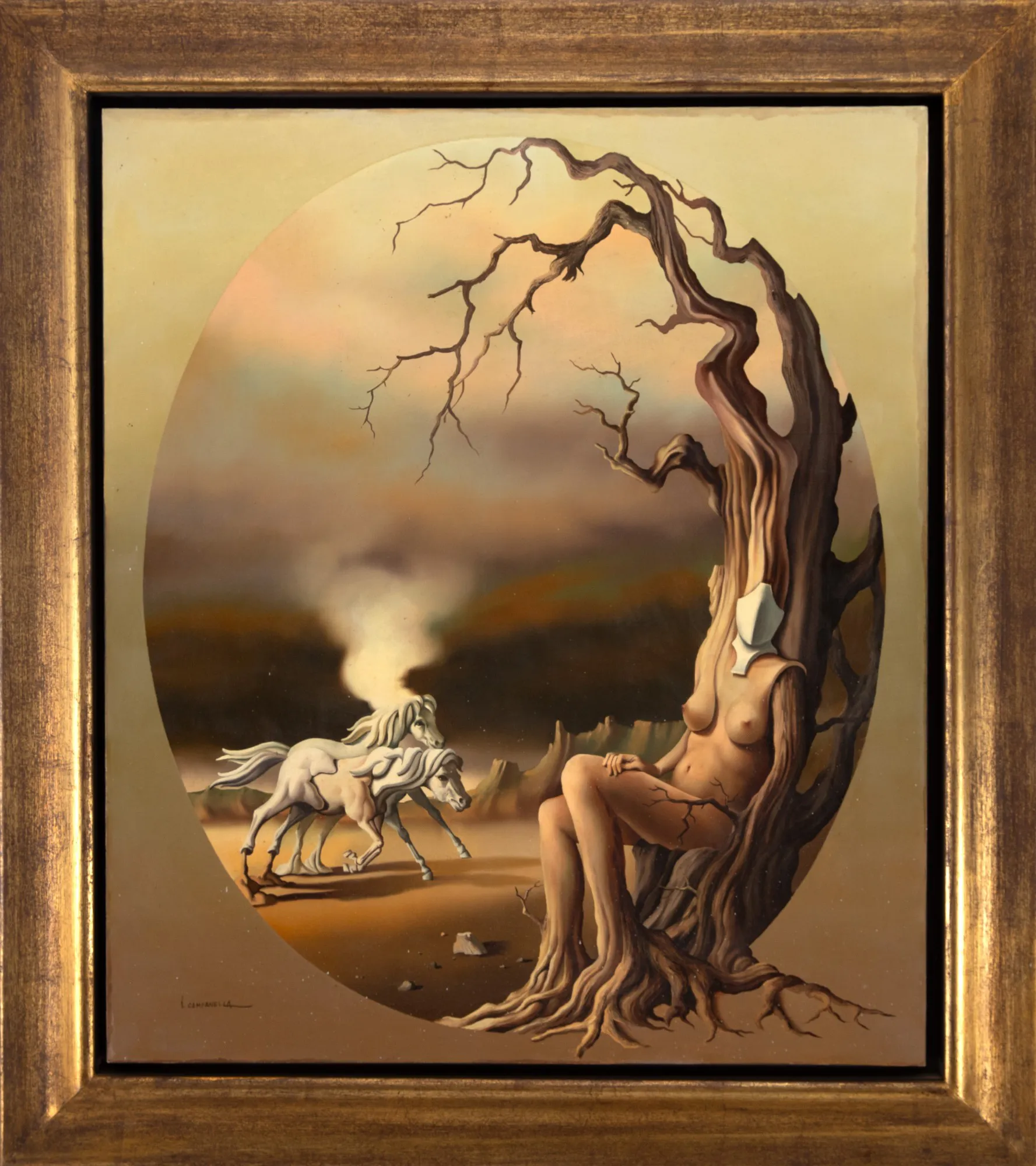 Vito Campanella - Sem Título