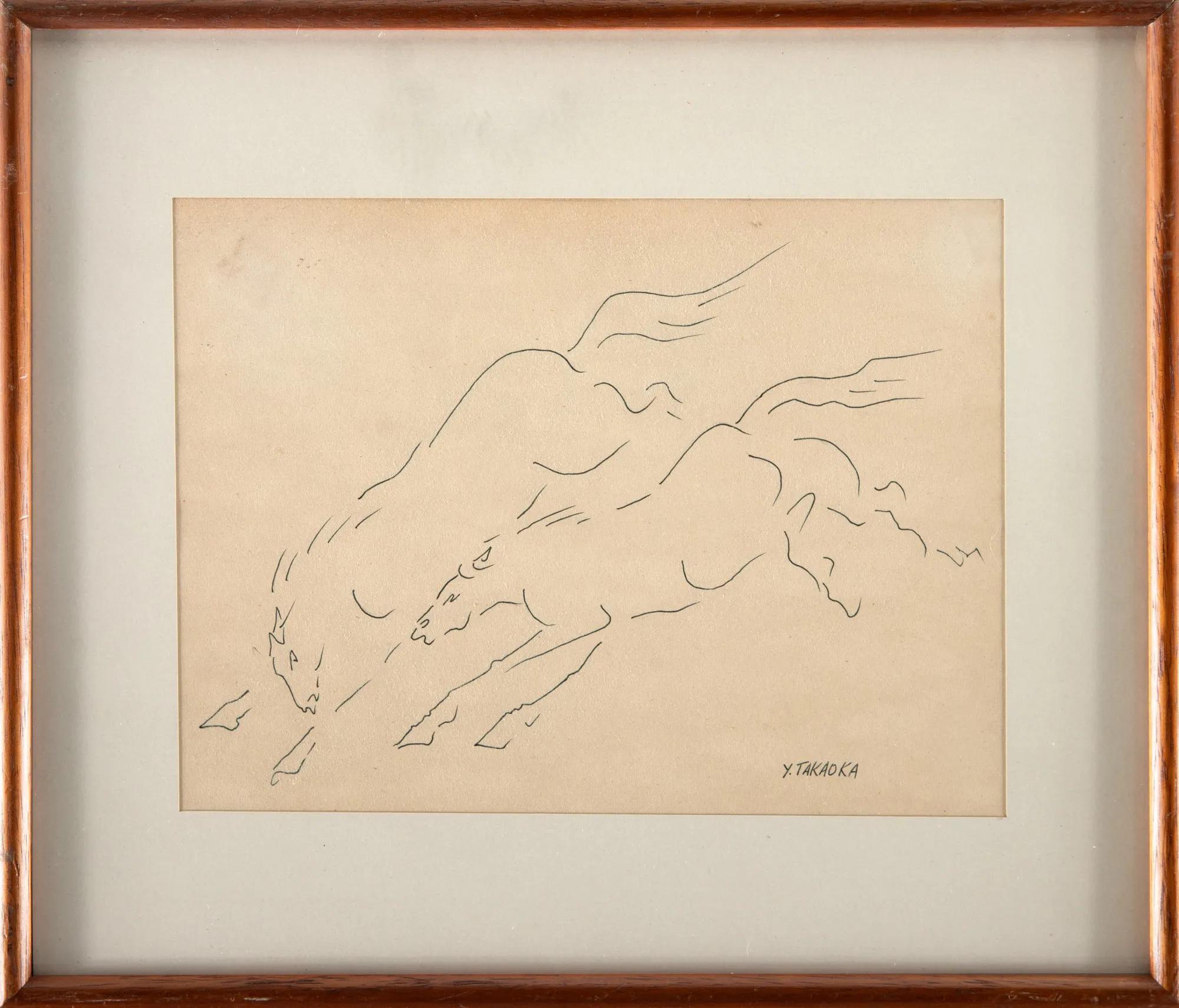 Yoshiya Takaoka - Cavalos