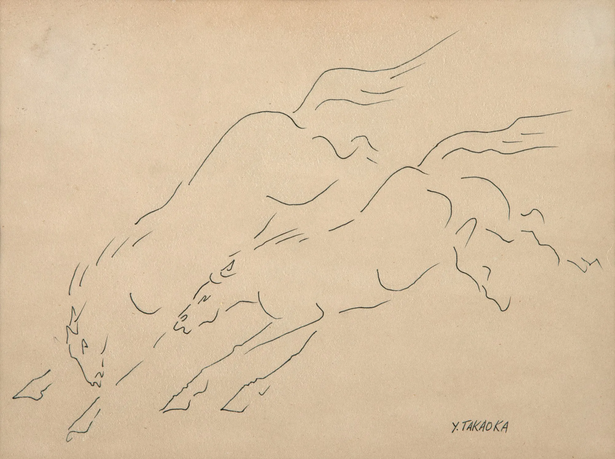 Yoshiya Takaoka - Cavalos