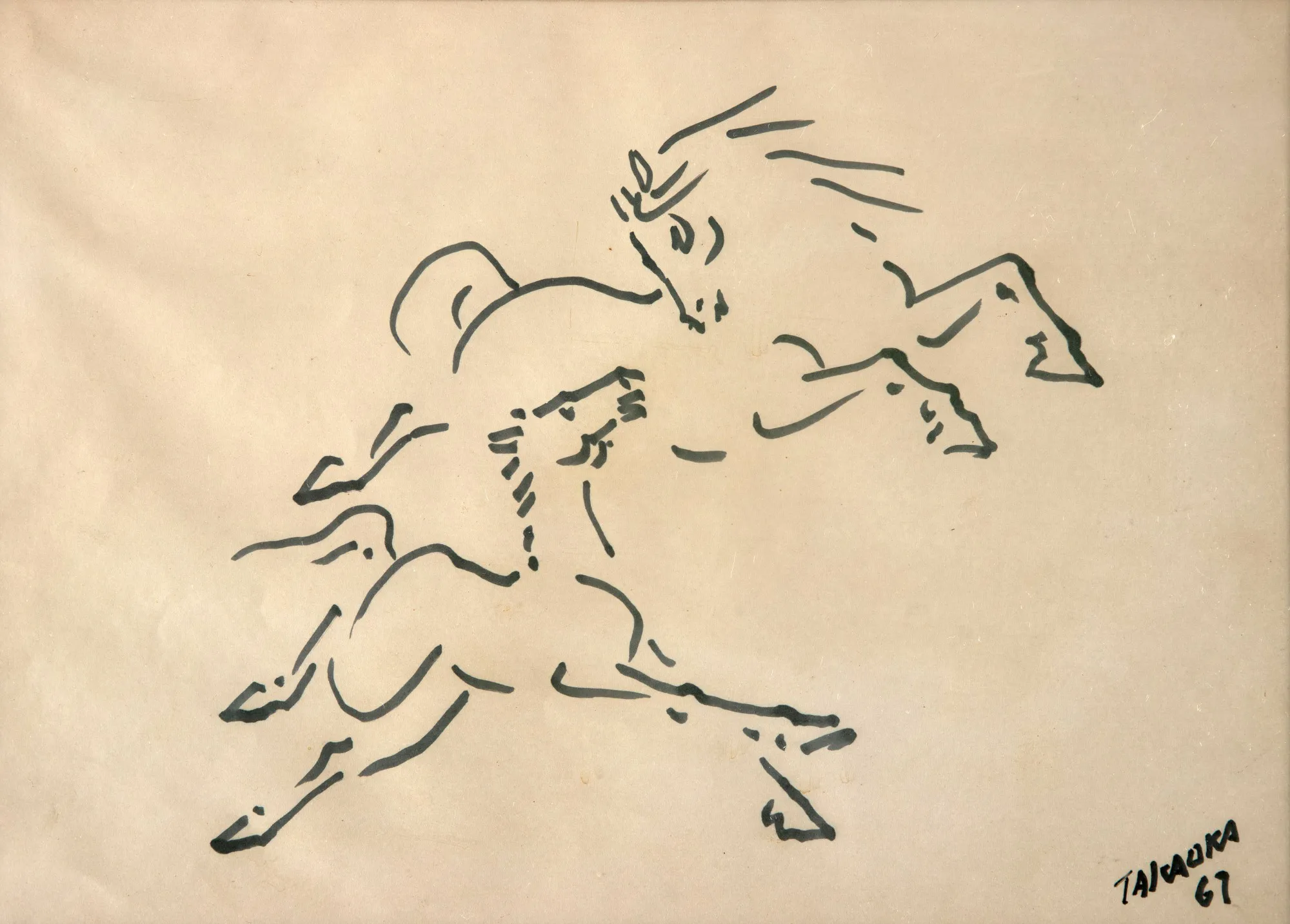 Yoshiya Takaoka - Cavalos