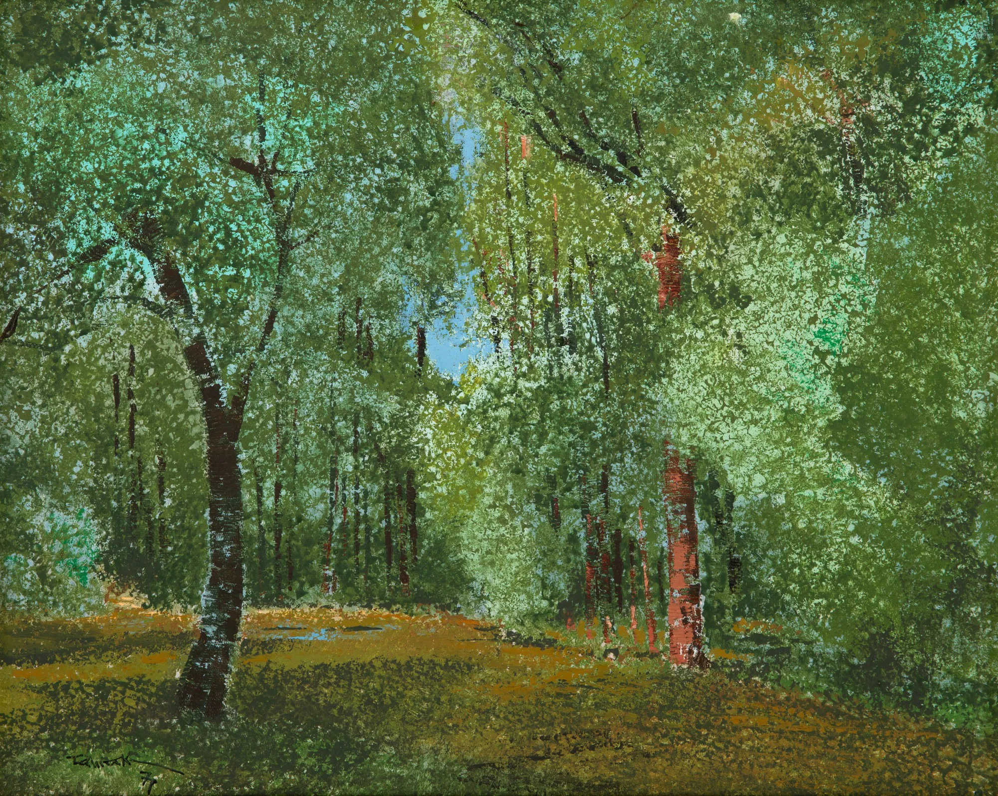 Yuji Tamaki - Paisagem